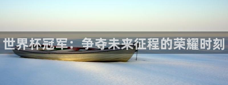 世界杯预选赛欧洲区赛程:世界杯冠军:争夺未来征程的荣耀时刻