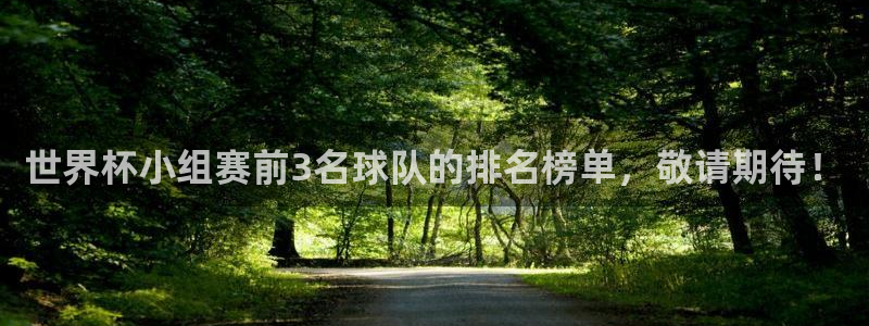 世界杯球队:世界杯小组赛前3名球队的排名榜单,敬请期待!