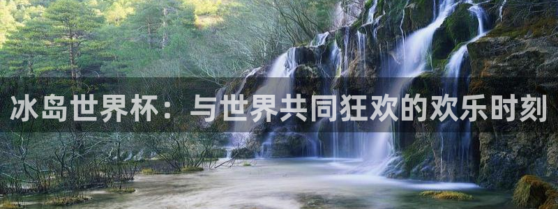 2006年世界杯:冰岛世界杯:与世界共同狂欢的欢乐时刻