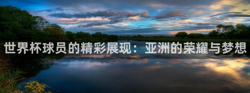 2026年世界杯赛程:世界杯球员的精彩展现:亚洲的荣耀与梦想