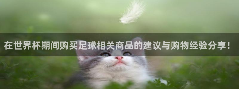 世界杯球队排名:在世界杯期间购买足球相关商品的建议与购物经验分享!