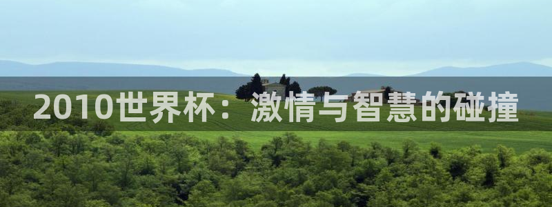 2026 世界杯:2010世界杯:激情与智慧的碰撞