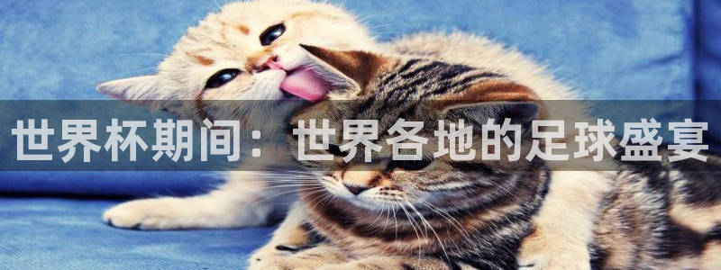 世界杯足球赛2026赛程时间:世界杯期间:世界各地的足球盛宴