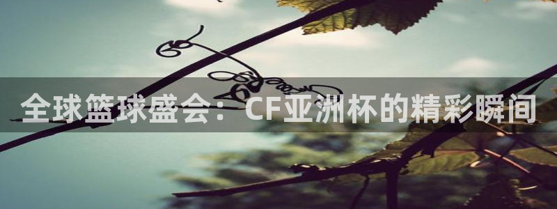 世界杯直播时间:全球篮球盛会:CF亚洲杯的精彩瞬间